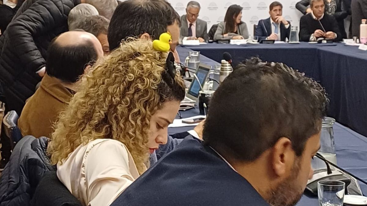 La diputada nacional por Mendoza, Lourdes Arrieta, se sumó a la moda viral de llevar un patito amarillo en la cabeza.