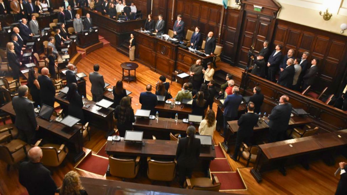 Martín Kerchner encabezó la jura de sus colegas senadores.