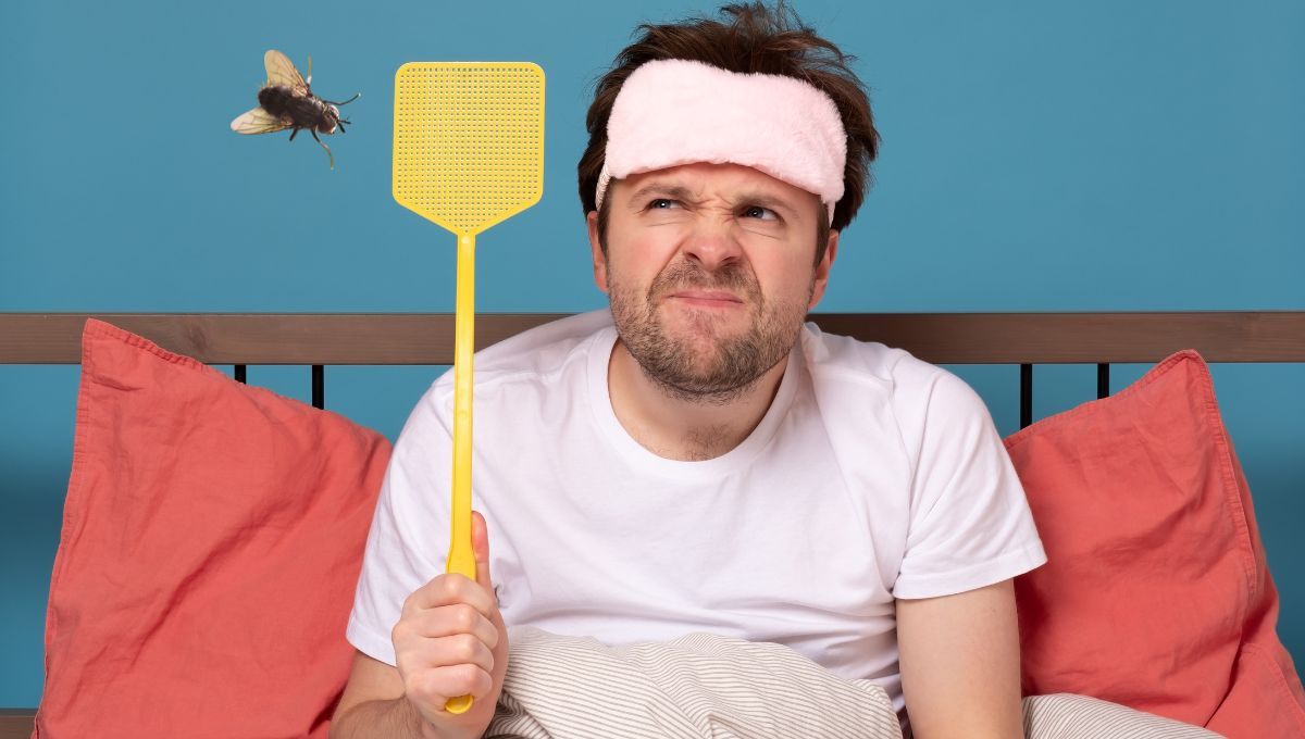 Truco casero para eliminar las moscas.