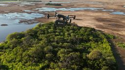 Argentina lanza semillas con drones para plantar miles de árboles sin esfuerzo y transformar el desierto Argentina lanza semillas con drones para plantar miles de árboles sin esfuerzo y transformar el desierto