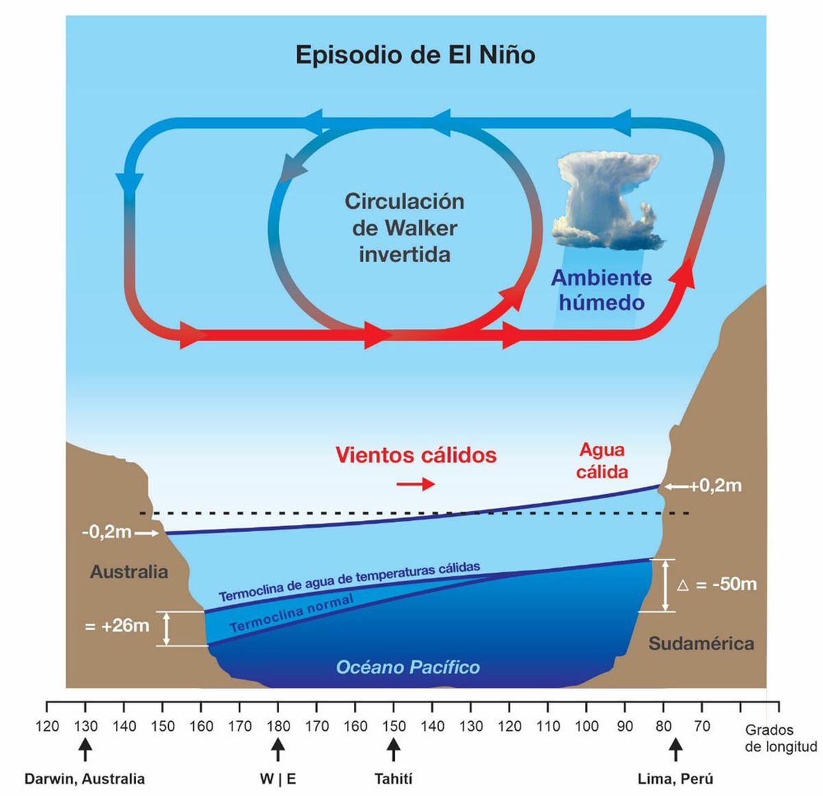 De esta manera se produce el fenómeno De esta manera se produce el fenómeno