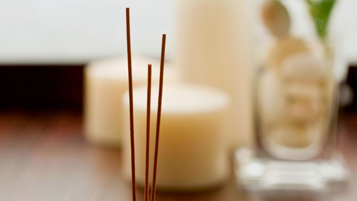 Entender por qué se apaga un sahumerio y lo que simboliza permite utilizarlo de manera más efectiva para la purificación del hogar o del espacio donde se usa. Entender por qué se apaga un sahumerio y lo que simboliza permite utilizarlo de manera más efectiva para la purificación del hogar o del espacio donde se usa.