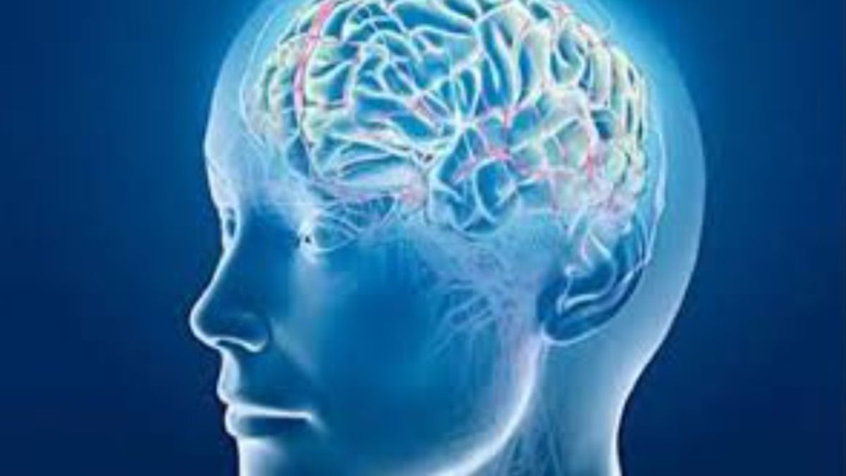 Alzheimer: prueban una estrategia que disminuye el daño cerebral que provoca la enfermedad