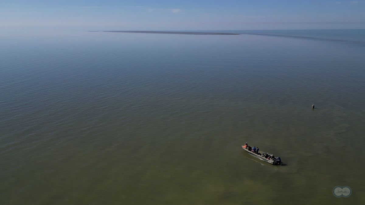 Los científicos explicaron las posibles causas de la aparición de la isla. Los científicos explicaron las posibles causas de la aparición de la isla.