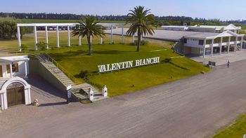 Bodegas Bianchi busca evitar el concurso de acreedores y el Gobierno no descartó una ayuda Bodegas Bianchi busca evitar el concurso de acreedores y el Gobierno no descartó una ayuda