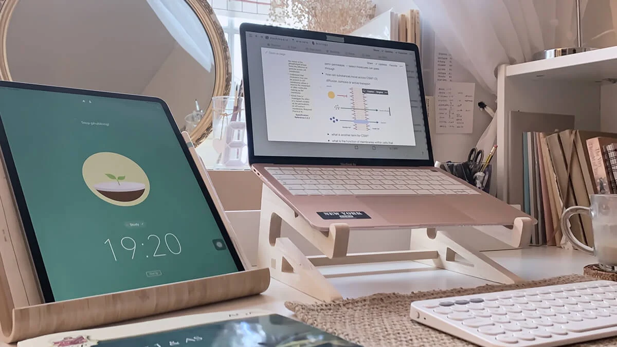 Los tres trucos infalibles para aprobar exámenes en la universidad, según Harvard Los tres trucos infalibles para aprobar exámenes en la universidad, según Harvard