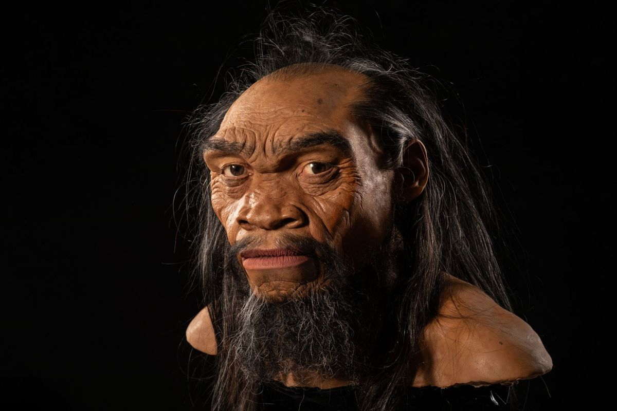 Este grupo de humanos tambi&eacute;n son conocidos como "hombres drag&oacute;n".