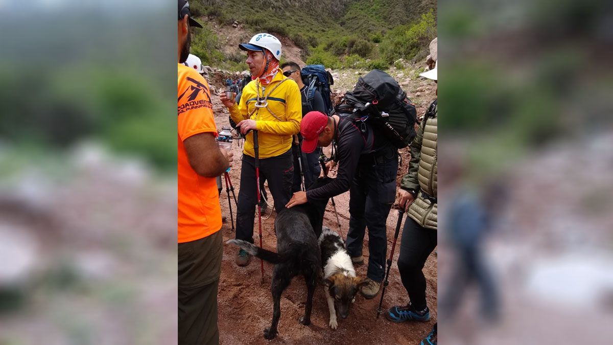 Chiquito y Negra, como los llamó Walter Moreno, lo acompañaron hasta que llegó a salvo a reencontrarse con su familia. La imagen corresponde al rescate del 14 de noviembre de 2018. Chiquito y Negra, como los llamó Walter Moreno, lo acompañaron hasta que llegó a salvo a reencontrarse con su familia. La imagen corresponde al rescate del 14 de noviembre de 2018.