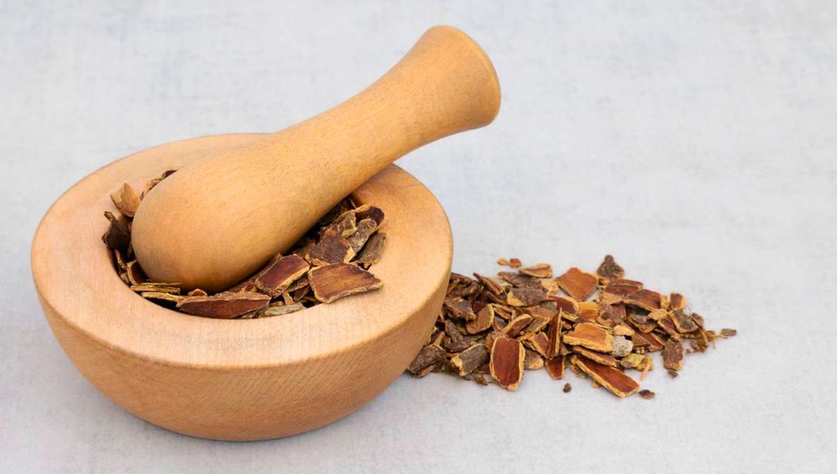 Los pueblos originarios del norte de América utilizaban la cáscara sagrada como purgante y limpiador del organismo. Los pueblos originarios del norte de América utilizaban la cáscara sagrada como purgante y limpiador del organismo.