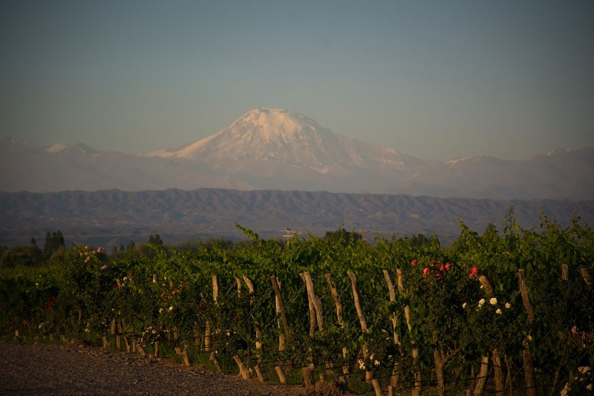 El INV busca aportar sostenibilidad a la industria vitivinícola junto al INTI y el CFI 