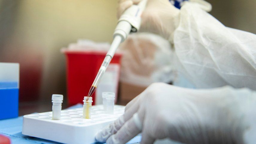 Coronavirus hoy: cuántos casos confirmados y muertos hay en Argentina al 2 de junio