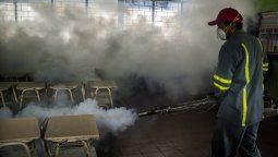 El calor es vital para el virus del zika