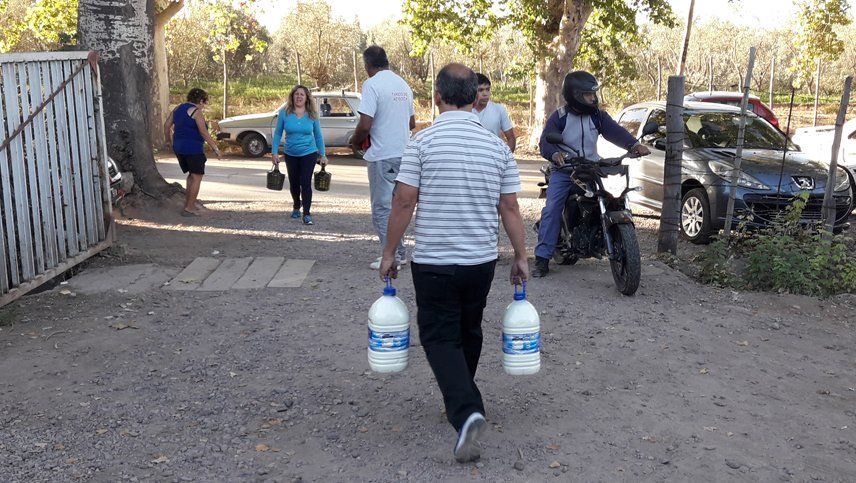 El furor por comprar leche en el tambo no cesa: el litro se vende a $24