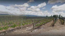 El vino mendocino que consiguió 100 puntos