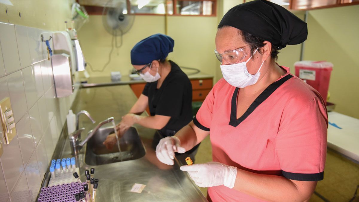 El Ministerio de Salud reportó en la última semana menos de 1.000 casos de coronavirus en Mendoza
