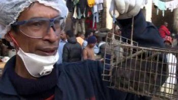 Un brote de peste mata a 40 personas en Madagascar y provoca más de un centenar de enfermos