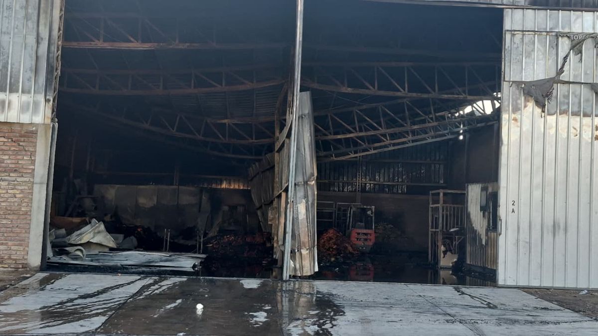 Una de las víctimas describió la impotencia de no poder sacar los autoelevadores en medio del incendio. Una de las víctimas describió la impotencia de no poder sacar los autoelevadores en medio del incendio.