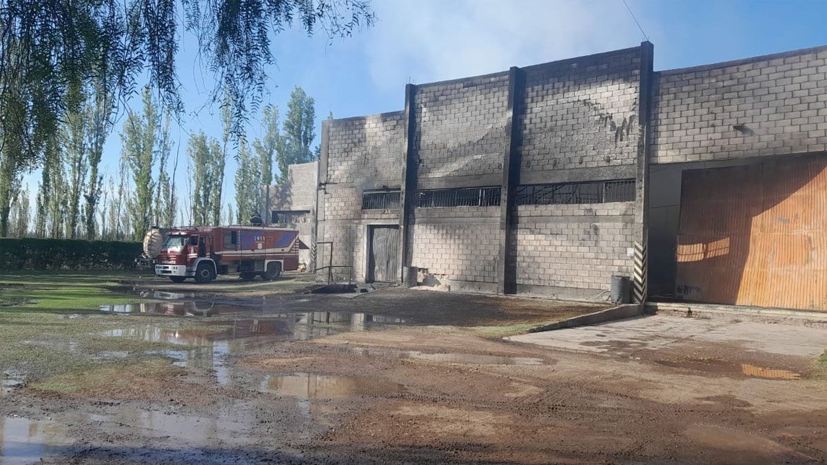 Bomberos de la Policía y Voluntarios de Junín, San Martín, Rivadavia y palmira trabajaron para controlar las llamas en los dos galpones.