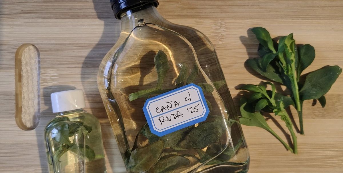 Caña con ruda. Caña con ruda.