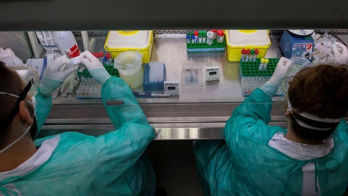 Ensayos fármacos anti covid.