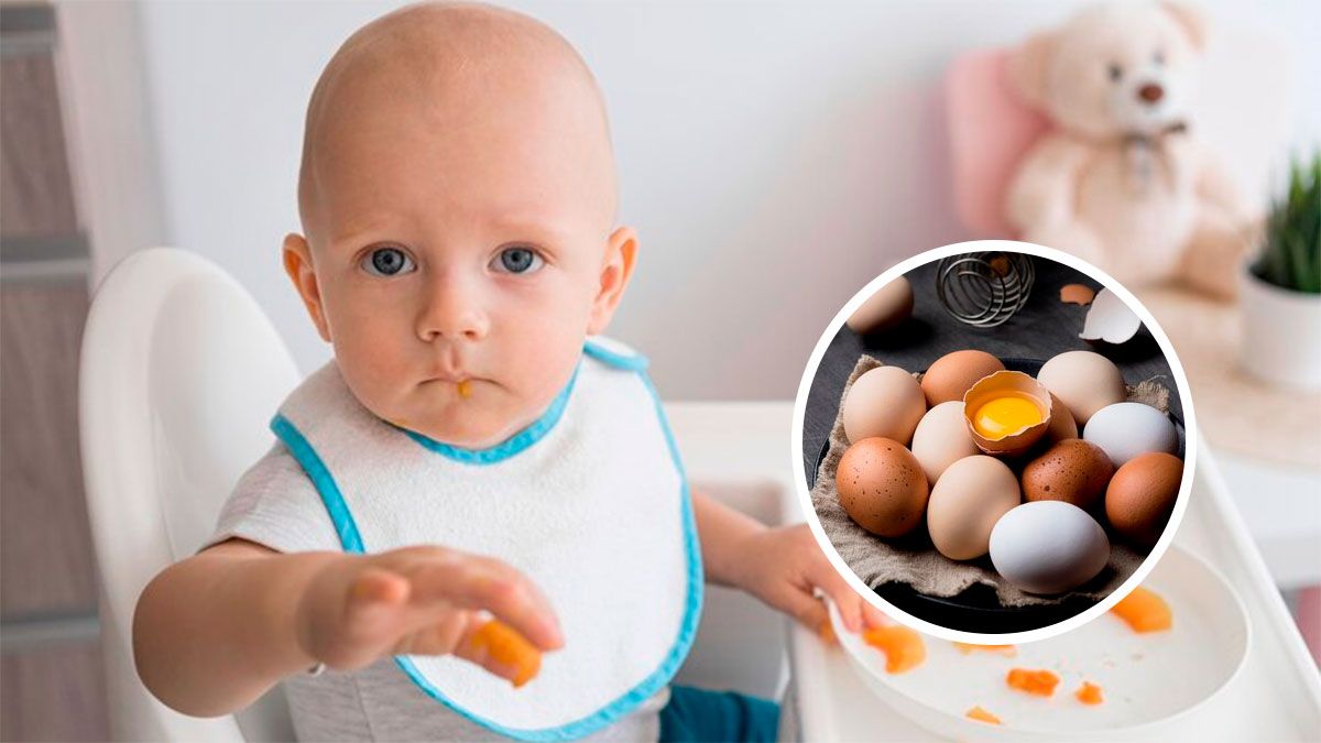 ¿Puede comer huevos los bebés en la alimentación complementaria?