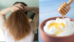 Si tienes el pelo seco y sin vida, prueba esta mascarilla casera de tres ingredientes. Imagen: Redacción Diario Uno