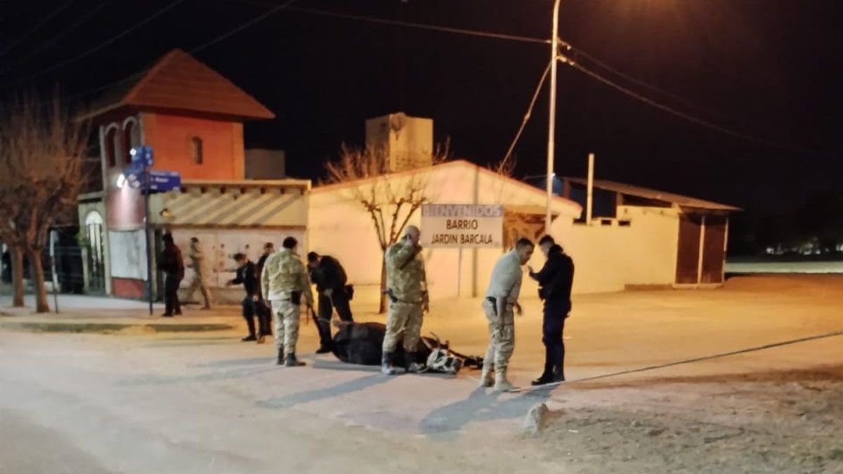 Más de nueve policías junto con Preventores de Maipú atraparon a la vaca cachuda en el ingreso al barrio Jardín Barcala, en la noche del martes. Más de nueve policías junto con Preventores de Maipú atraparon a la vaca cachuda en el ingreso al barrio Jardín Barcala, en la noche del martes.