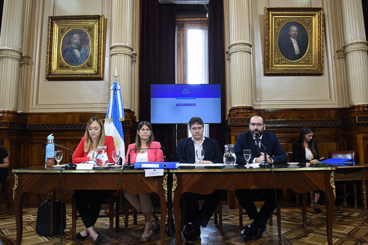 Anabel Fernández Sagasti en el Senado en la presentación del rabino Axel Wahnish.