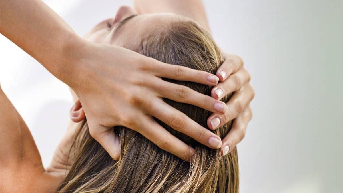 Los 7 alimentos que ayudan a detener la caída del pelo. Los 7 alimentos que ayudan a detener la caída del pelo.