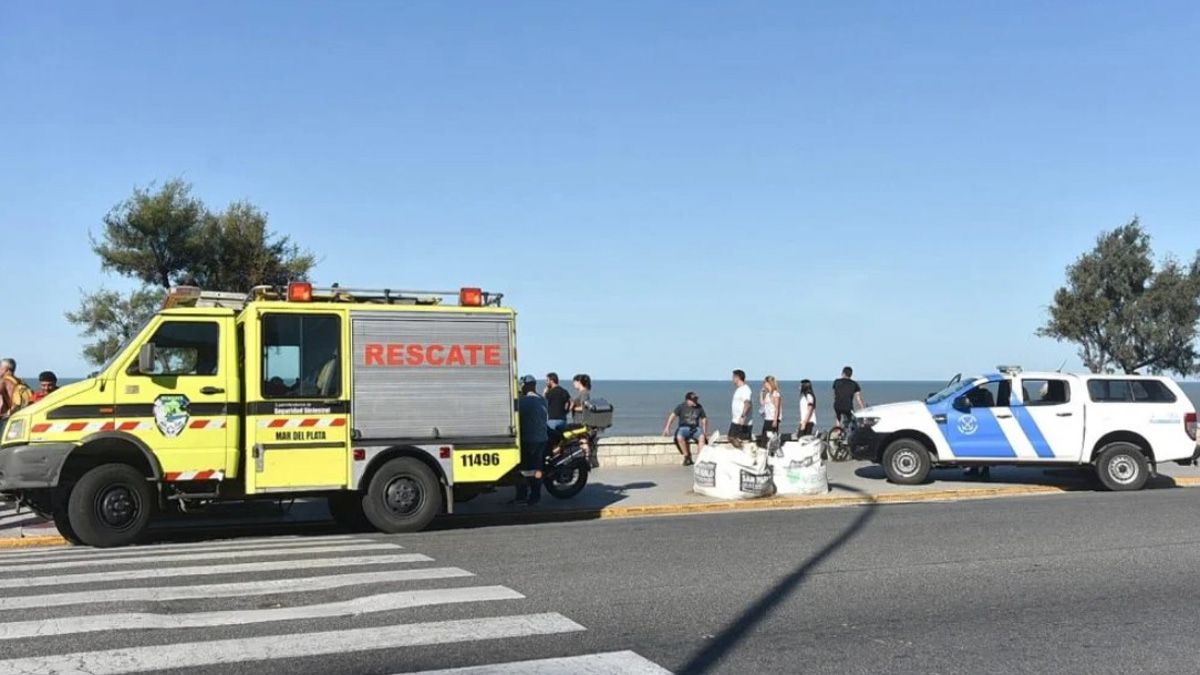 Se arrojó al mar cuando lo perseguía la policía y apareció muerto en Playa Chica. Gentileza: La Capital de Mar del Plata