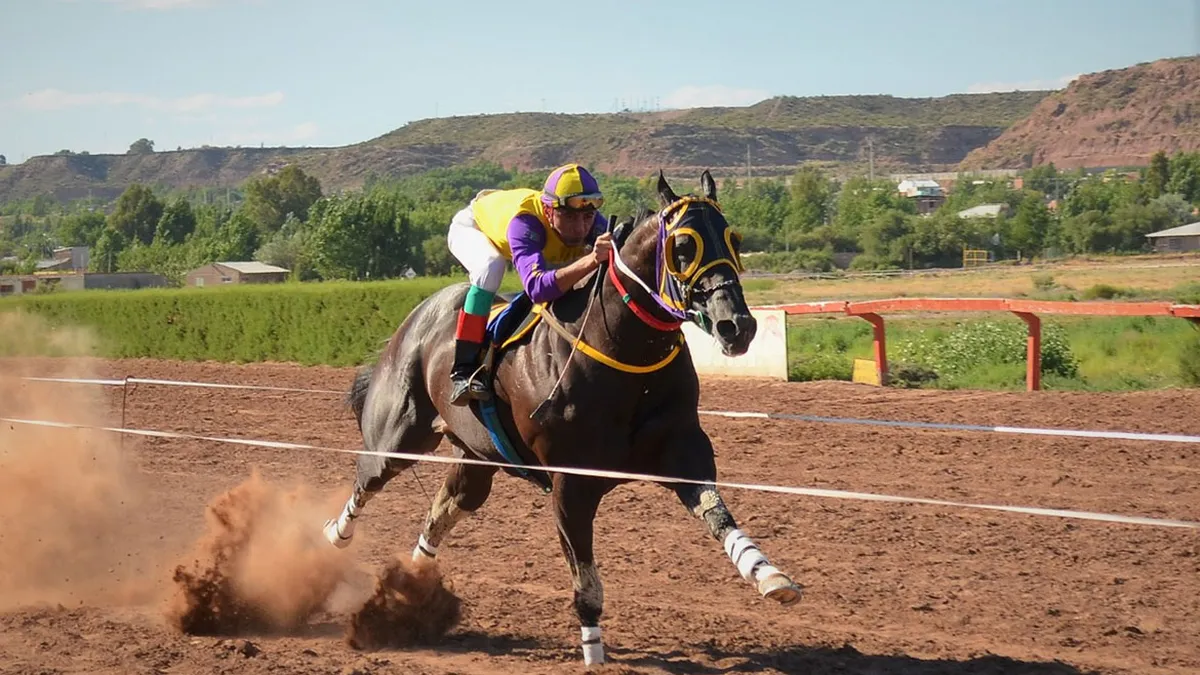Tragedia. Un joven de 19 años falleció al caer de su caballo mientras participaba de una carrera cuadrera. Tragedia. Un joven de 19 años falleció al caer de su caballo mientras participaba de una carrera cuadrera. 