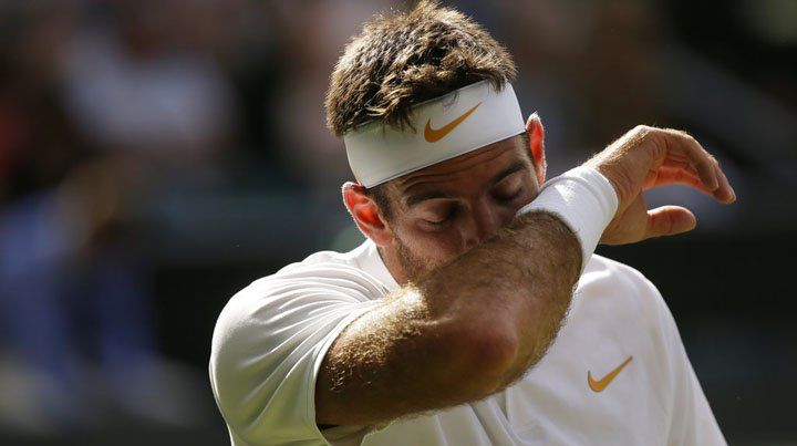 Desde el lunes, cómo quedará ubicado Del Potro en el ránking ATP