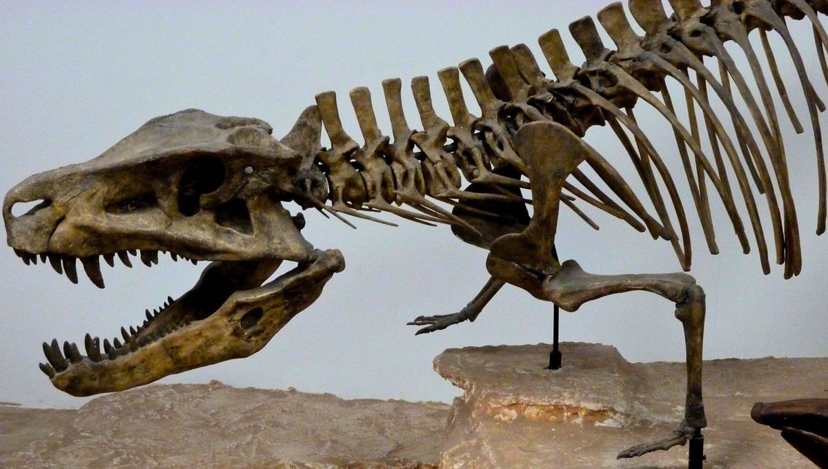 Destierran un dinosaurio en Asia y el ADN revela los orígenes del T-Rex