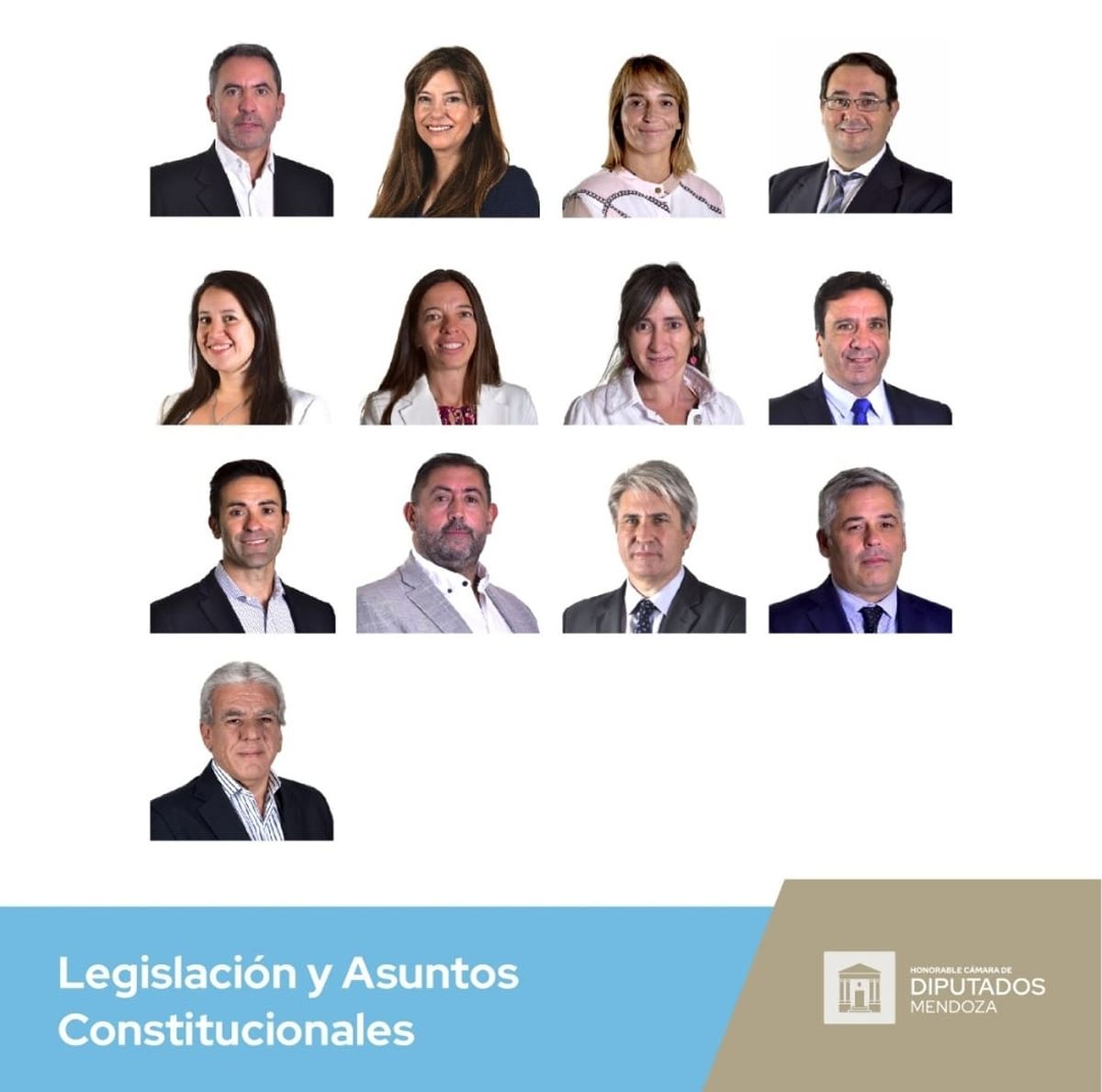 De los 13 integrantes de la Comisión de Legislación y Asuntos Constitucionales, 6 son de la UCR, 4 del PJ, uno del PRO, otro del PD, y el restante presidente de Unión Popular.