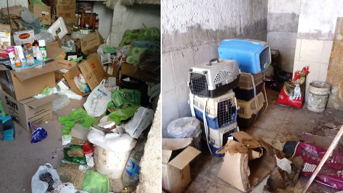 Gil Pereg acumulaba diferentes elementos en otro lugar cerrado que estaba al lado del portón de ingreso. Gil Pereg acumulaba diferentes elementos en otro lugar cerrado que estaba al lado del portón de ingreso.