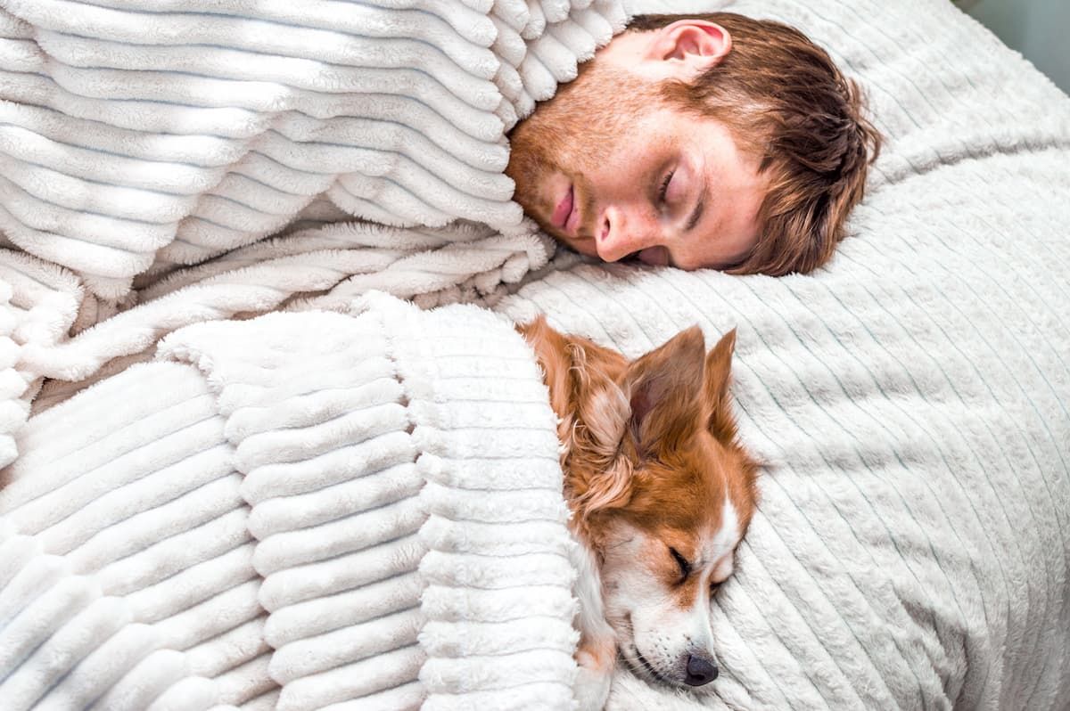 Dormir con tu perro en la misma cama: qué significa y por qué no recomiendan hacerlo Dormir con tu perro en la misma cama: qué significa y por qué no recomiendan hacerlo