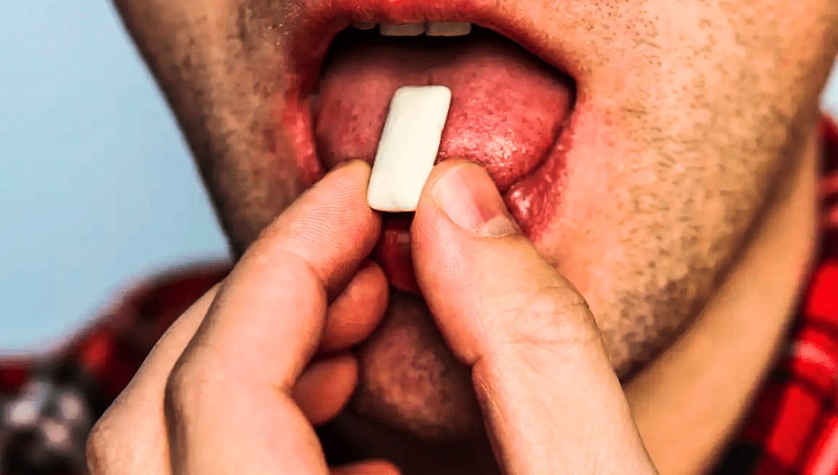 Se tomaron en cuenta diez tipos de chicles para realizar este estudio