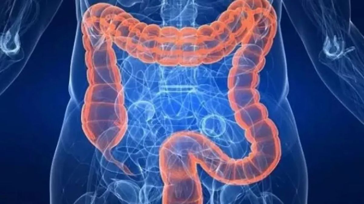 Enfermedades Inflamatorias Intestinales: la afección silenciosa que ataca a miles de argentinos