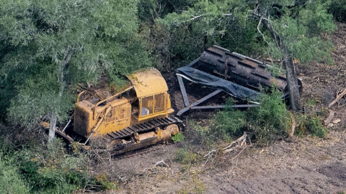 Grupos ambientalistas criticaron al Gobierno de Chaco. (Foto: Greenpeace)