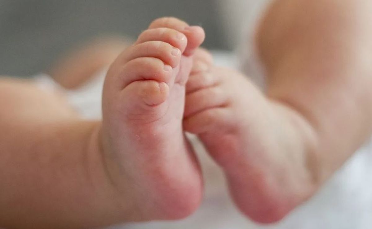 Entre el 10% y el 14% de los recién nacidos de Mendoza dan positivo de tóxicos que heredaron de sus madres. Entre el 10% y el 14% de los recién nacidos de Mendoza dan positivo de tóxicos que heredaron de sus madres.