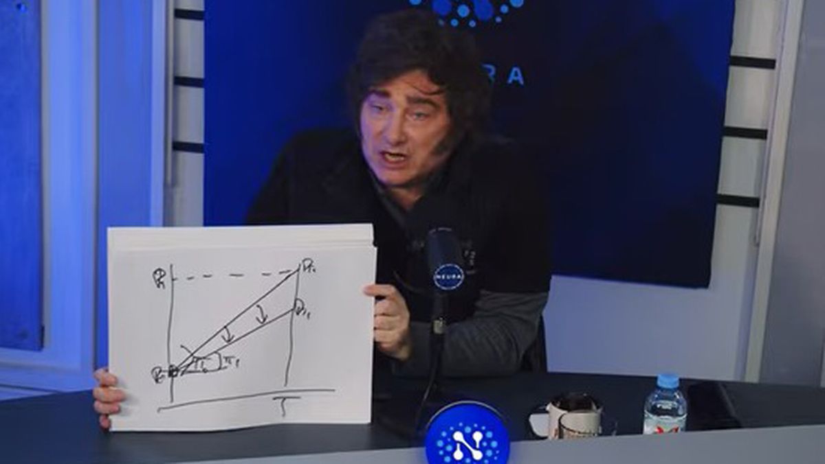 Javier Milei mostró un gráfico que él mismo hizo, relacionado con la situación económica argentina.