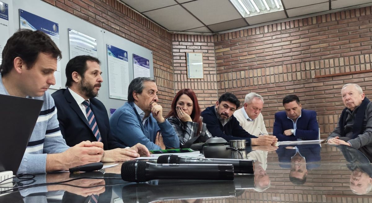 Marcelo DAgostino, subsecretario de Justicia, explicó alcances del proyecto de reforma del Código Procesal Penal.