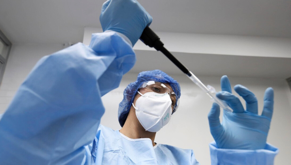 Los científicos advirtieron a la comunidad sobre la presencia de una plaga muy común