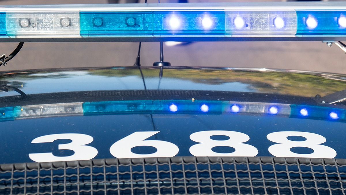 Un conductor borracho mató a un automovilista en el Acceso Sur a la altura de Aristóbulo del Valle.