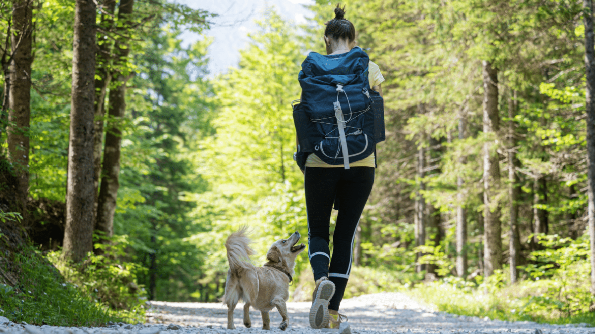 Cada vez más personas realizan rucking. Cada vez más personas realizan rucking.