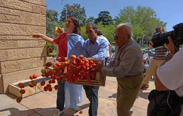 Productores arrojaron verduras en la escalinata de Casa de Gobierno