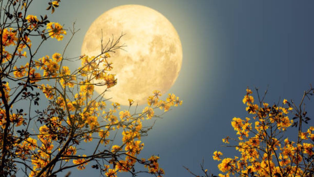 Descubrí para qué sirve el agua de Luna llena y cómo hacerla.