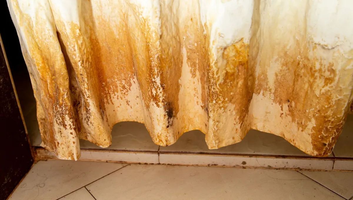 Los hongos de la cortina del baño pueden eliminarse gracias a un efectivo truco casero.&nbsp;