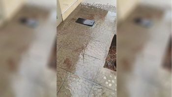 El robo de medidores de agua en Mendoza no cesa y provocaron una gran pérdida en Godoy Cruz