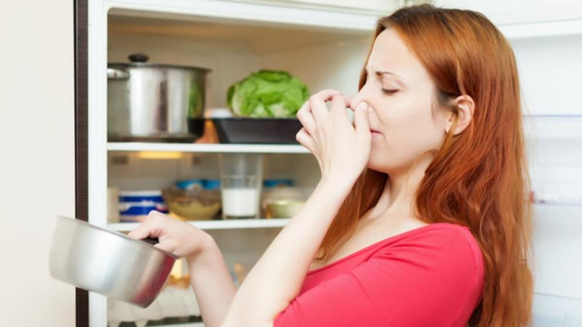 Feng Shui en la cocina: 6 malos hábitos que debes evitar para lograr  equilibrio y buenas energías (incluye vídeo)